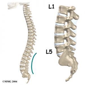 Osteo for Back Pain  Disc Prolapse vs Disc Bulges — Osteopath Hawthorn