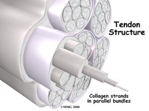 elbow_Kettering Osteopath