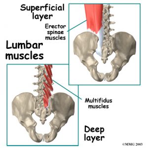 lumbar_low_back_pain_Kettering Osteopath