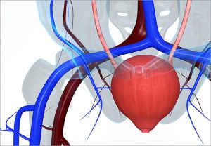 Overactive Bladder